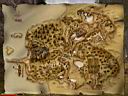 map_khorinis.jpg
