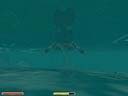 mt_08.jpg