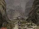 st_01.jpg