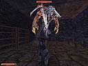 st_08.jpg